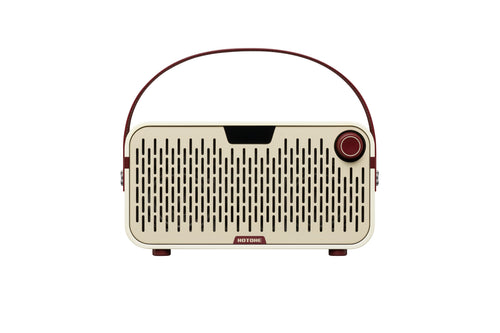 Hotone Pulze Jr - Mini Modelling Amp - White