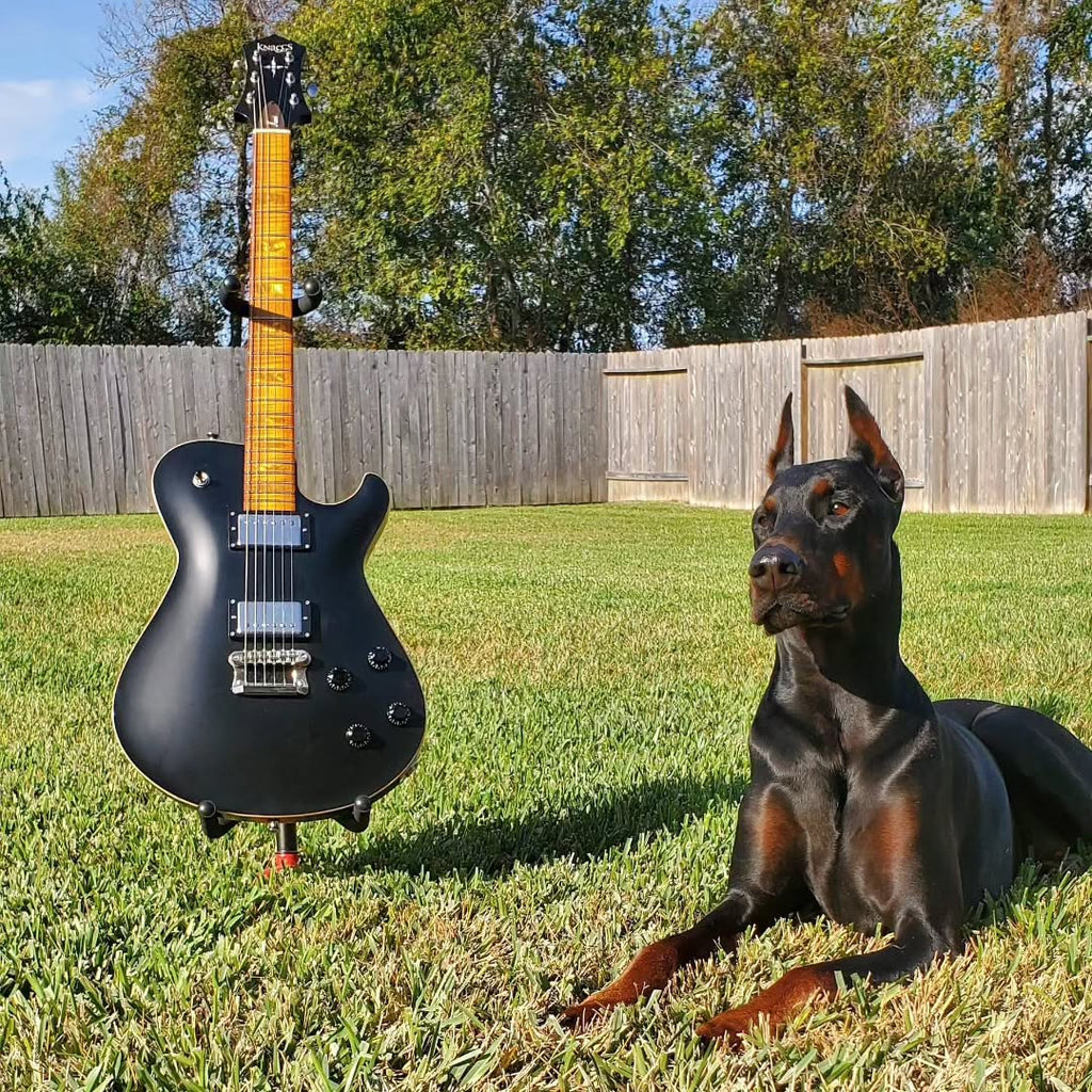 Knaggs Guitars News: 20/11/2023