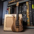 James Tyler Studio Elite HD (Black Limba) — The Synth-Ready Boutique Guitar That Cuts Through Dense Mixes