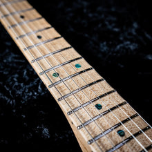 Load image into Gallery viewer, James Tyler USA Studio Elite HD Electric Guitar - Blue Shmear