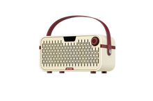 Load image into Gallery viewer, Hotone Pulze Jr - Mini Modelling Amp - White