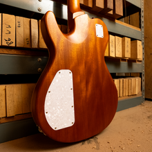 Load image into Gallery viewer, James Tyler JTG-M1 - Egyptian Gold