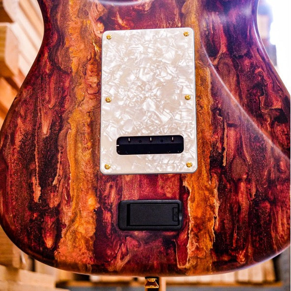 James Tyler USA Studio Elite HD Electric Guitar - Caramel Cappuccino