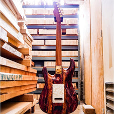 James Tyler USA Studio Elite HD Electric Guitar - Caramel Cappuccino