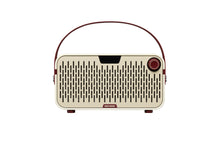 Load image into Gallery viewer, Hotone Pulze Jr - Mini Modelling Amp - White
