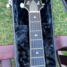 Zemaitis MF500 Fire Dragon (Second Hand)